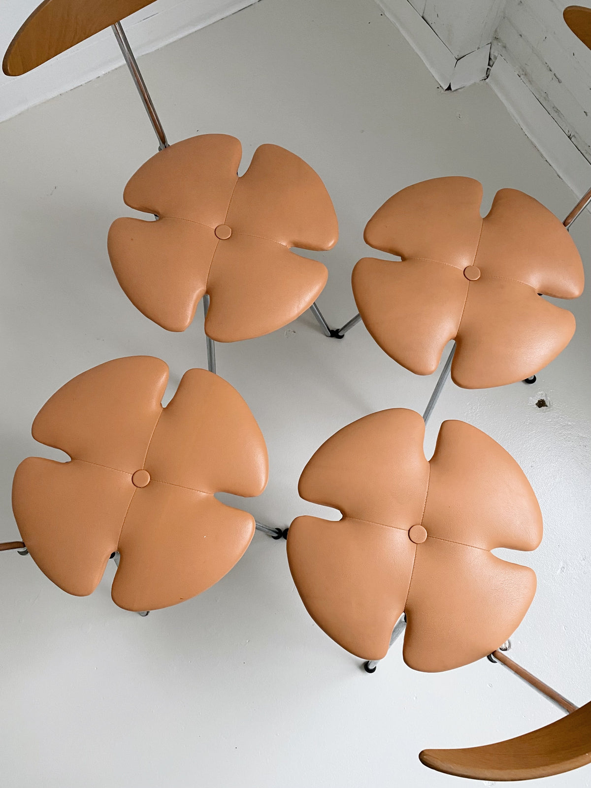 FullSizeRender76_4f00ff52-8e45